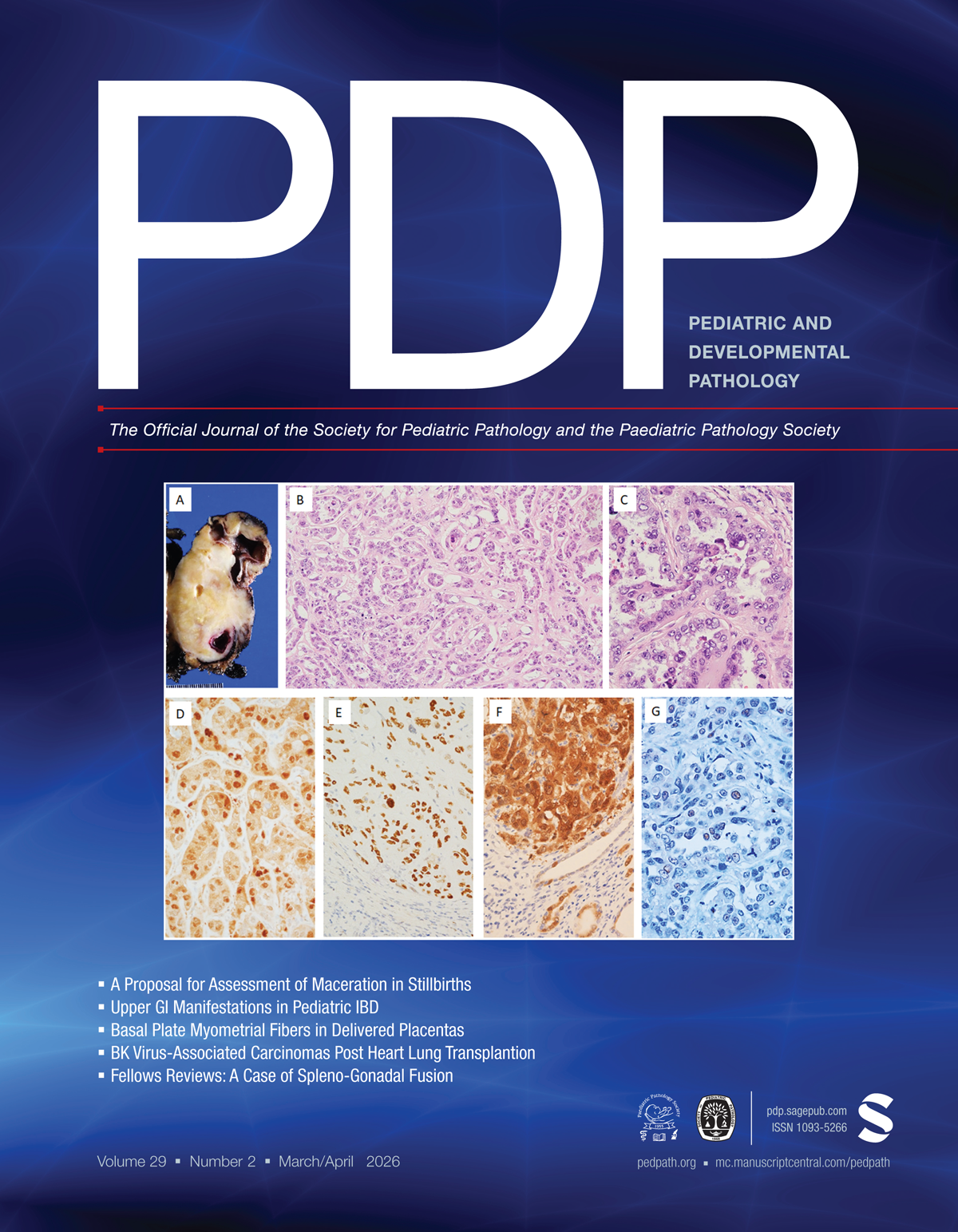 Pediatric and Developmental Pathology journal cover